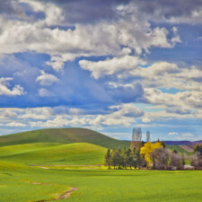 The Palouse