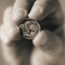Buffalo Nickel